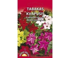 Kvapiojo tabako sėklos Standart 0.1g Daylight Sensation