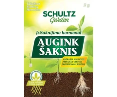 Kvapiūjų tuberozų svogūnėlis, lot. POLYANTHUS TUBEROSA, 1 vnt