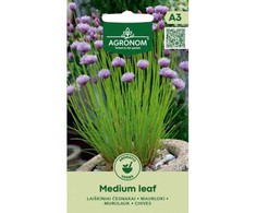 Laiškinių česnakų sėklos MEDIUM LEAF, 0,5 g