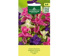Laiškinių česnakų sėklos MEDIUM LEAF, 0,5 g