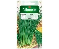Laiškinių česnakų sėklos Vilmorin 2g