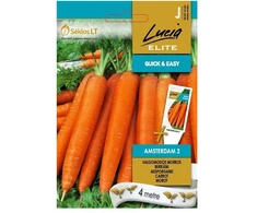 Lapinių burokėlių sėklos RHUBARB CHARD, 3 g