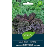 Lapinių kopūstų sėklų SCARLET / KADET mišinys, 2 g