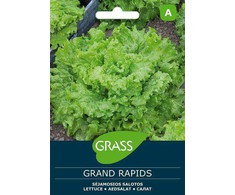 Lapinių salotų sėklos GRAND RAPIDS, 2 g