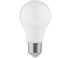 LED lemputė SPECTOR LIGHT, E27 A60, 15W, 4000K, 1490 lm