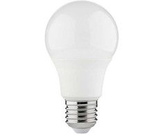 LED lemputė SPECTOR LIGHT, E27 A60, 9.5W, 4000K, 1050 lm