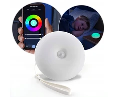 LED USB Bluetooth naktinės lempos REER programa