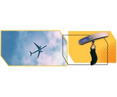 Lewer HOOK TRAVEL BAGAŽO svarstyklės, TURISTAS, ORO UOSTAS, RANKINIS LCD, IKI 50KG
