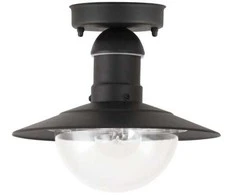 Pakabinamas šviestuvas Lubinis lauko šviestuvas Oslo IP44 Rabalux 60W E27 D24cm juodas
