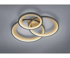 Lubinis šviestuvas Lubinis LED šviestuvas TRIO GRANADA, 36W, max4300lm,3000K, trijų pakopų šviesos reguliavimas,71x63cm