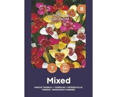 Margūjų tigrenių svogūnėliai, lot. PAVONIA MIX, 7 vnt
