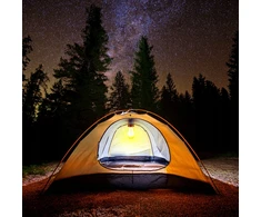 Maxsell CAMPING BULB SOLAR TOURING LAMP USBC CAMPING RANKENĖS BATERIJA