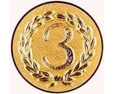 Medalio plokštelė 3. vieta D2.5cm metalinis/bronzos sp.