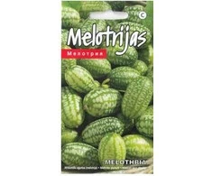 Meksikietiškų agurkų sėklos 0.06g Melothria