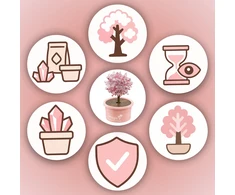 Memflow MAGIC TREE CRYSTAL AUGIMO PATIRTIES RINKINYS ROŽINĖ DOVANA
