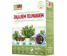 Mikrobiologinės trąšos kambariniams augalams Bioefekts 100g