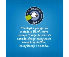 Miśkopty sausainiai vaikams Vitaminai 8 m+ Gerber Nestle 180 g