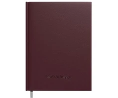 Timer Pedagogo knyga 2025/2026 m, 120x195mm, tamsiai rudos spalvos