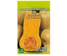 Bikuvalt Moliūgai muskusiniai Waltham Butternut 9745