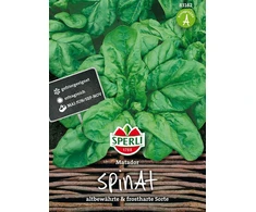 Moliūgų sėklos ERALY BUTTER NUT, 10 g