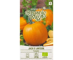Moliūgų sėklos JACK O' LANTERN, 2 g