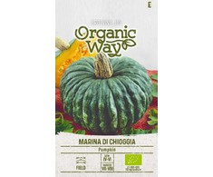 Moliūgų sėklos MARINA DI CHIOGGIA, 2 g