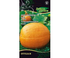 Moliūgų sėklos OTYLIA H, 1 g