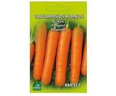 Bikuvalt Morkos valgomosios Nantes 5 3g 0360