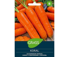 Morkų sėklos KORAL, 3 g