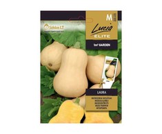 Muskusinių moliūgų LAURA sėklos, 1 g