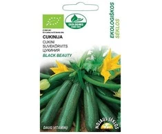 Nojaus Cukinijų sėklos 1g Juodas Beauty