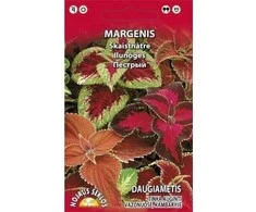 Nojaus Darželinių margenių sėklos 0.1g
