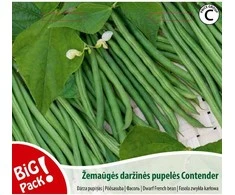 Nojaus Daržinių pupelių sėklos C 20g
