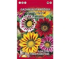 Nojaus Gazanijų sėklos 0.2g
