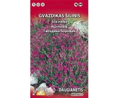 Nojaus Gvazdikų sėklos 0.2g