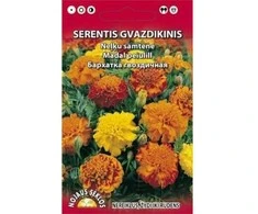 Nojaus Gvazdikų sėklos 0.5g