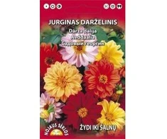 Nojaus Jurginų sėklos 0.5g