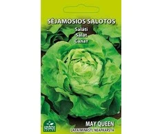 Nojaus Lapinių salotų sėklos 1g May Queen