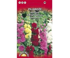 Nojaus Piliarožių sėklos 0.5g