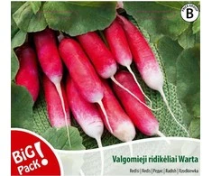 Nojaus Ridikėlių sėklos B 10g