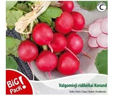 Nojaus Ridikėlių sėklos C 10g