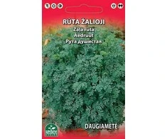 Nojaus Žaliųjų rūtų sėklos Standart 0.3g