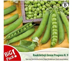 Nojaus Žirnių sėklos B 20g