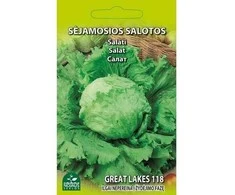 Nojus Lapinių salotų sėklos 1g Great Lakes 119