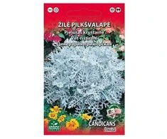 Nojus Pajūrio žilių sėklos 0.2g