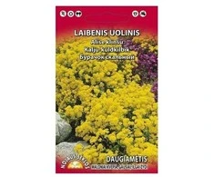 Nojus Uolinių aurinijų sėklos 0.2g Parmex