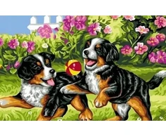 Norimpex 5d Deimantinė Mozaika Diamond Painting - Kūrybinis Rinkinys