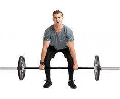 50 mm olimpinis grifas su guoliais tinkamas mėtymui 220 cm (apkrova iki 450 kg) inSPORTline OB-86 MTBH4