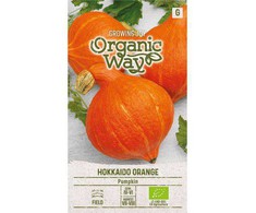 Orange Moliūgų HOKKAIDO Oranžinis sėklos, 2 g