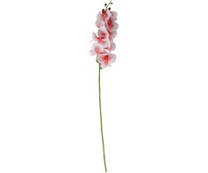 Home4You Orchidėja GĖLĖ H94cm, šviesiai rožinė